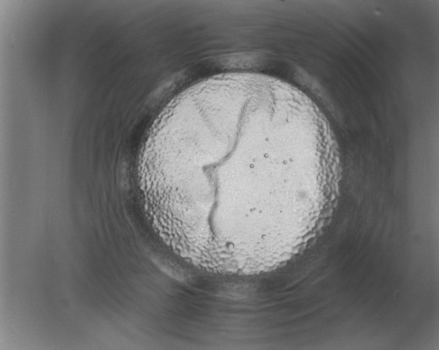 X0000080110161200612301953