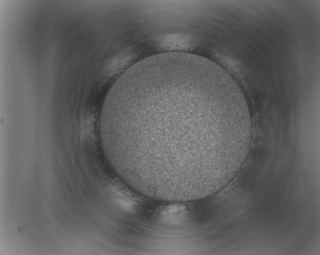 X0000080110162200612301953