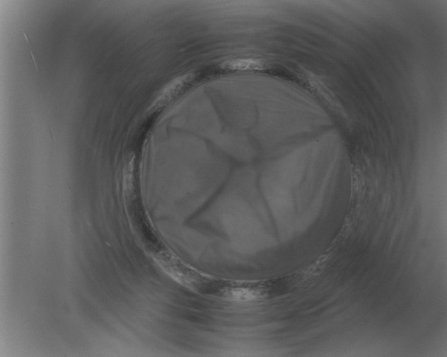 X0000080110163200612301953