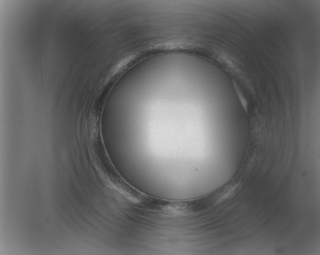 X0000080110164200612301953