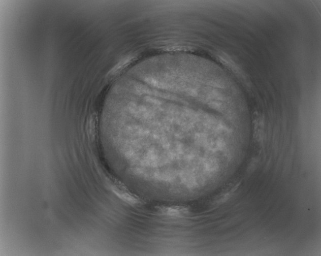 X0000080110165200612301953