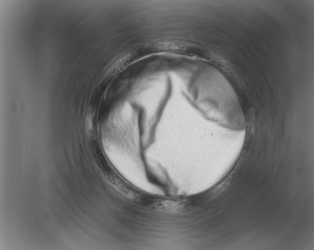 X0000080110166200612301953