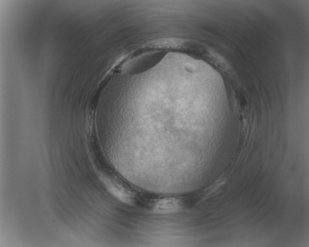 X0000080110168200612301953