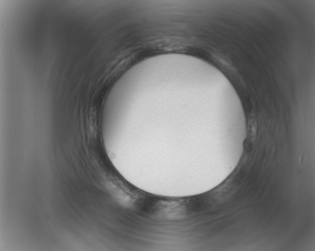 X0000080110170200612301953