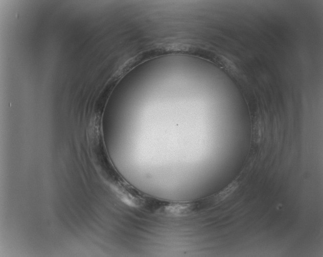 X0000080110172200612301953