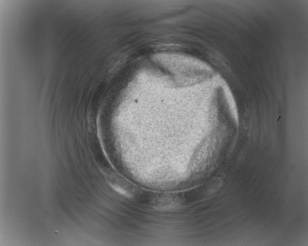 X0000080110173200612301953