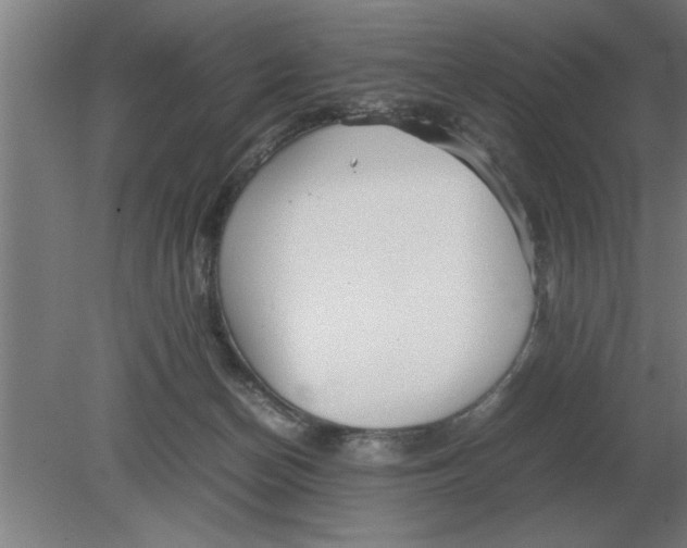 X0000080110174200612301953