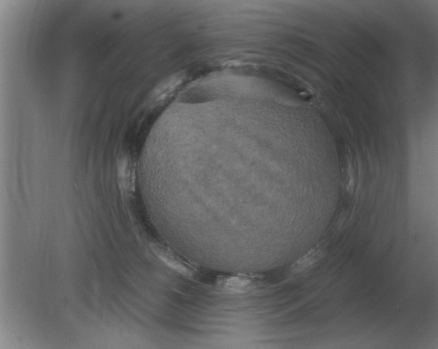 X0000080110180200612301953