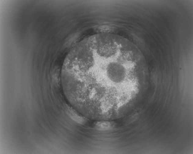 X0000080110181200612301953