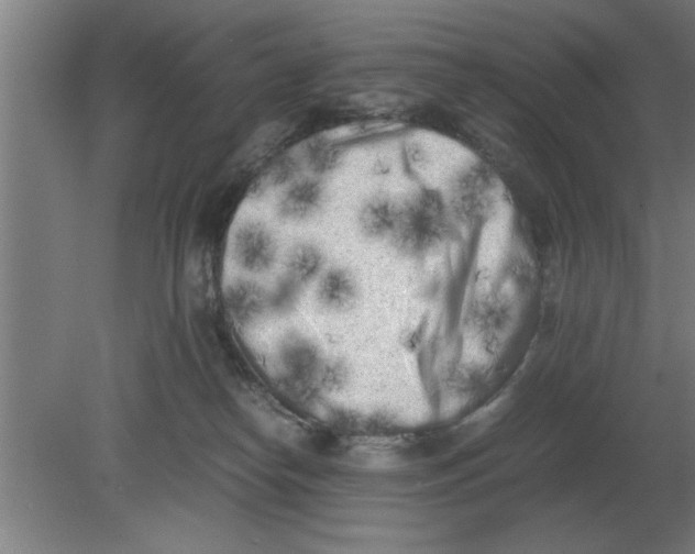 X0000080110182200612301953