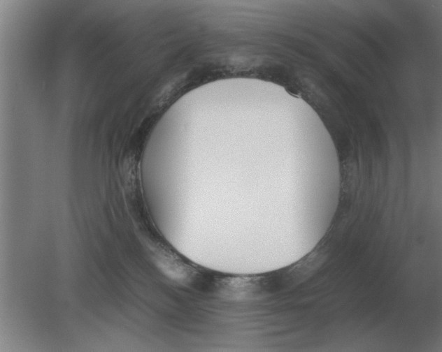 X0000080110184200612301953