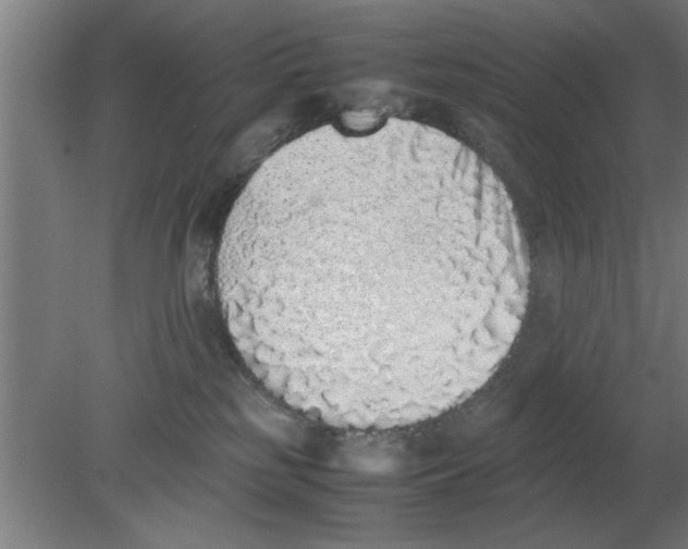 X0000080110185200612301953