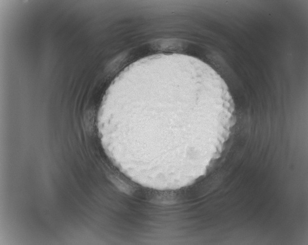 X0000080110189200612301953