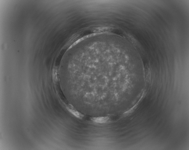 X0000080110191200612301953