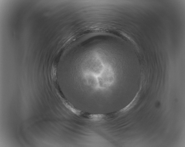 X0000080110192200612301953