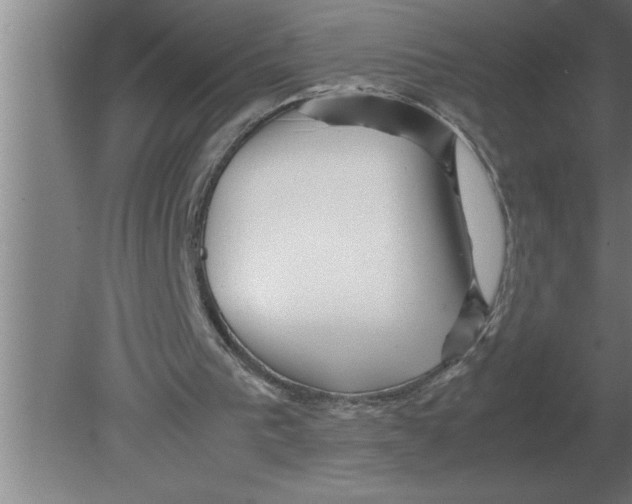 X0000080110193200612301952