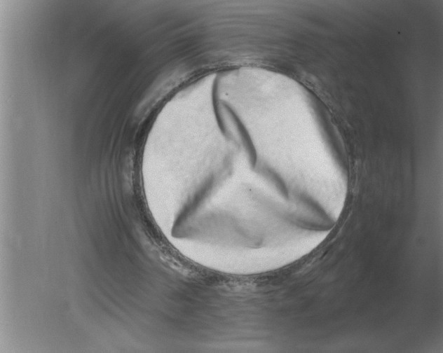 X0000080110194200612301952