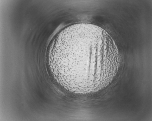 X0000080110195200612301952