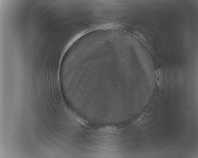 X0000080110196200612301952