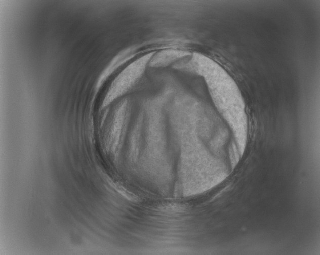 X0000080110198200612301952