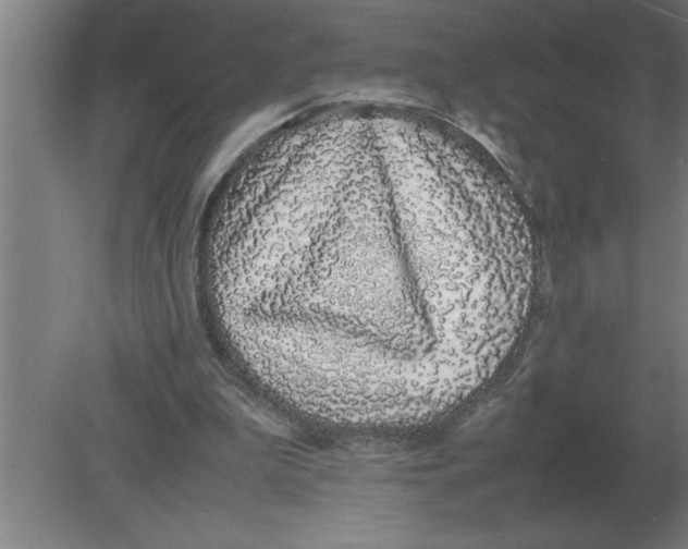 X0000080110199200612301952