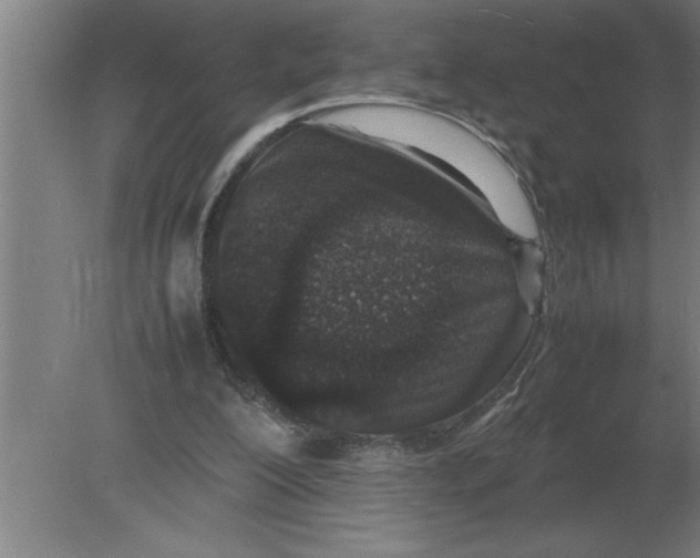 X0000080110200200612301952