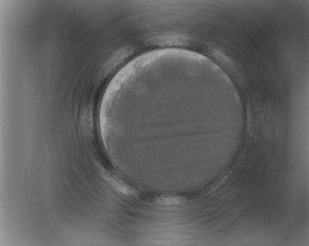 X0000080110202200612301952