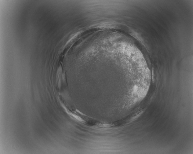 X0000080110205200612301952