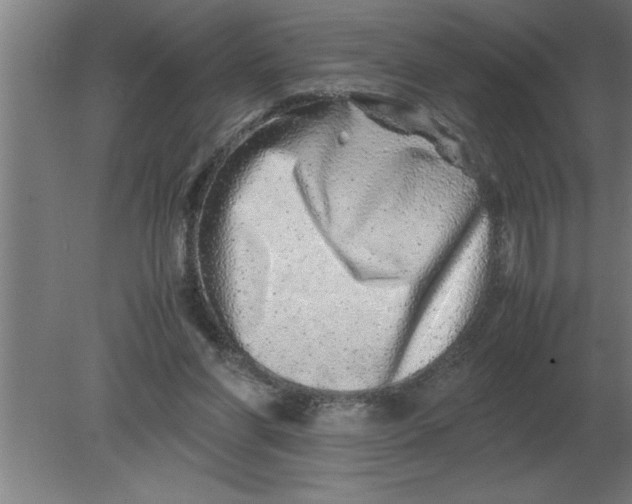 X0000080110206200612301952