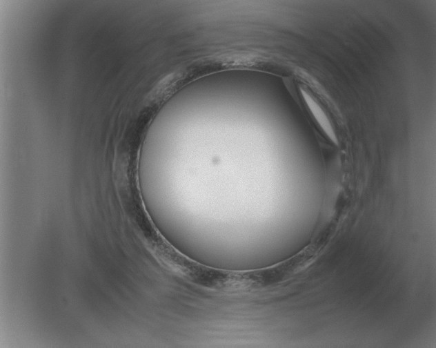 X0000080110209200612301952