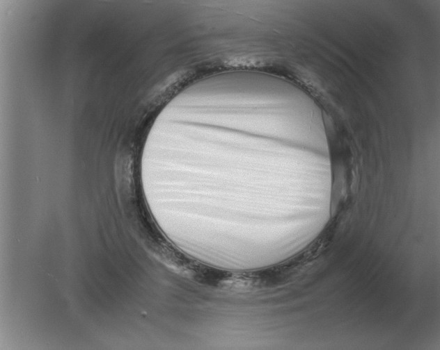 X0000080110211200612301952