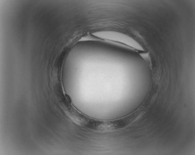 X0000080110213200612301952