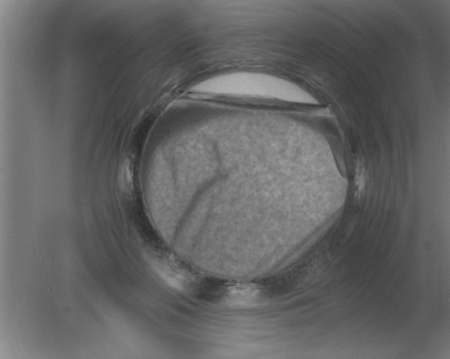 X0000080110214200612301952