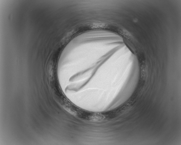 X0000080110215200612301952