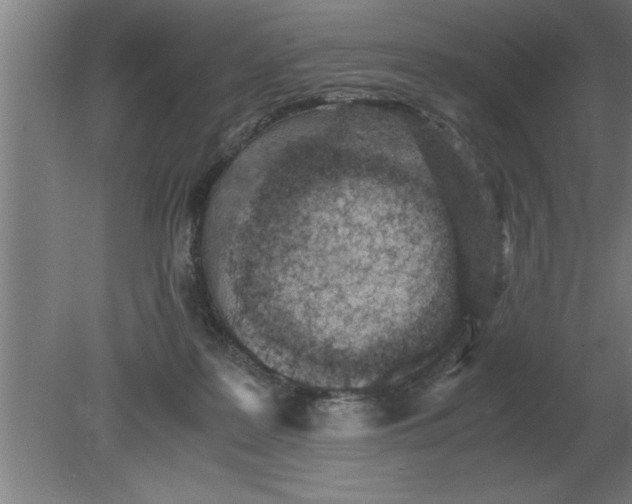 X0000080110219200612301952