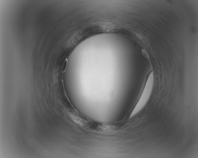 X0000080110221200612301952