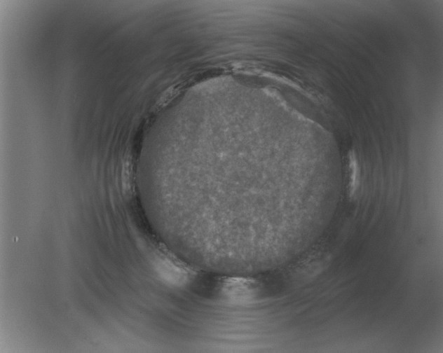 X0000080110222200612301952