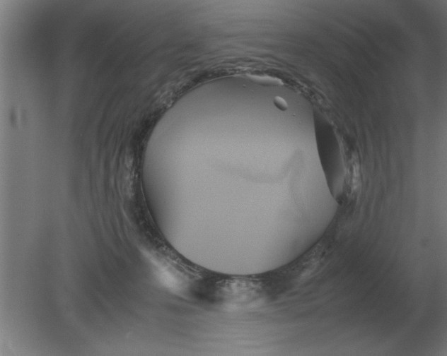 X0000080110223200612301952