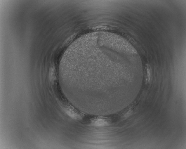 X0000080110224200612301952