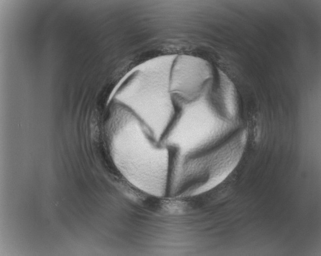 X0000080110226200612301952