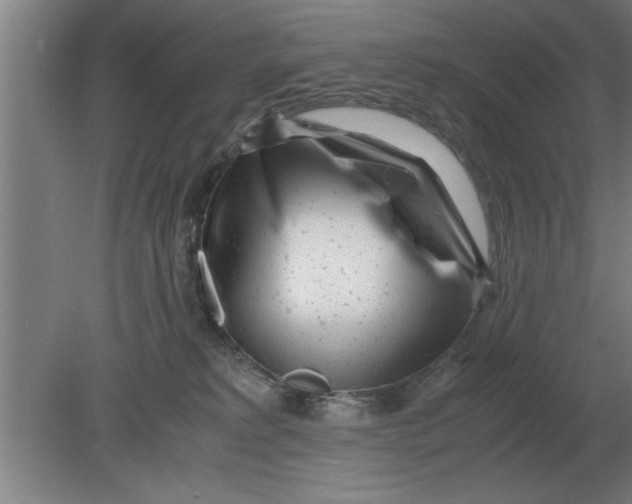 X0000080110229200612301952