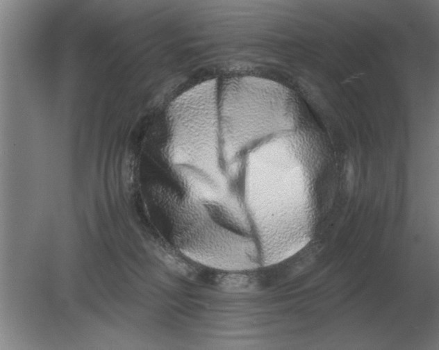 X0000080110230200612301952