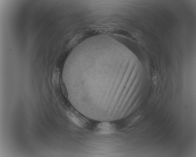 X0000080110231200612301952