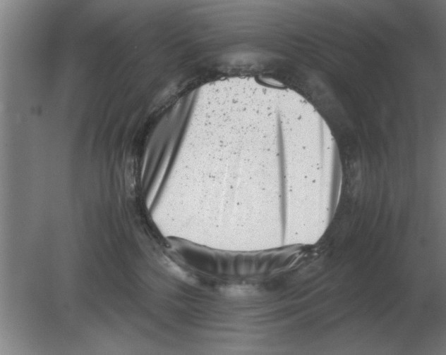 X0000080110232200612301952