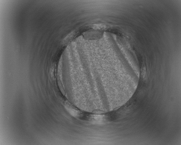 X0000080110233200612301952