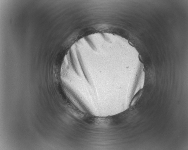 X0000080110234200612301952