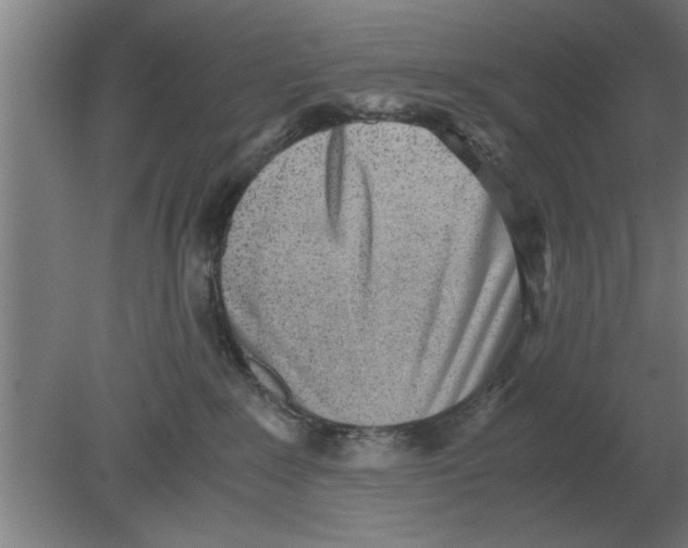 X0000080110235200612301952