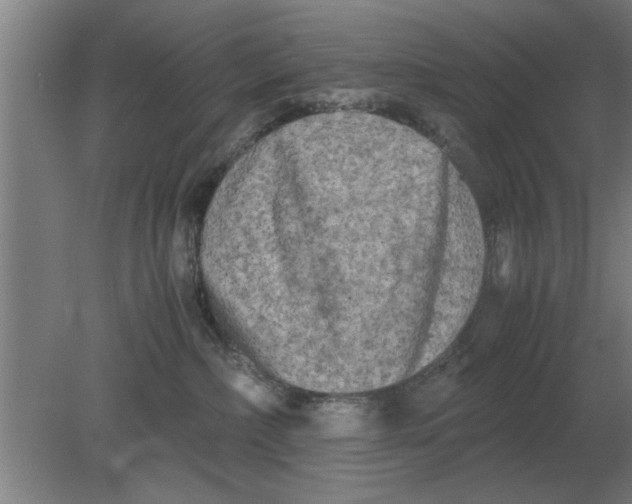 X0000080110236200612301952