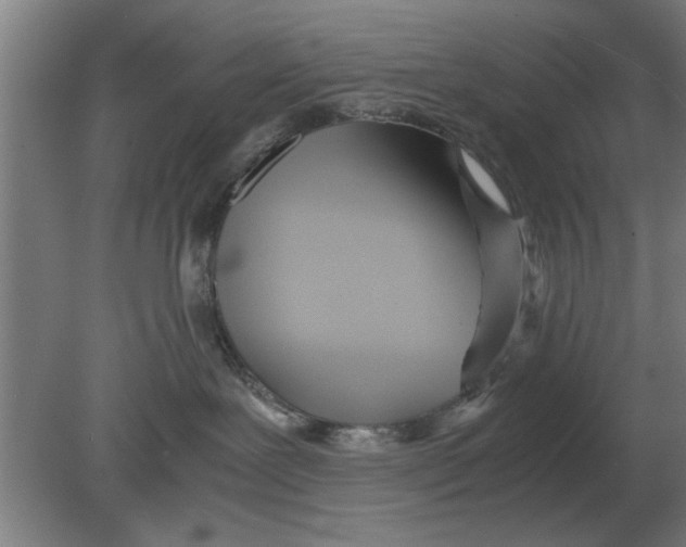 X0000080110239200612301952