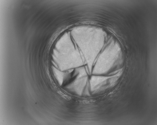 X0000080110241200612301951